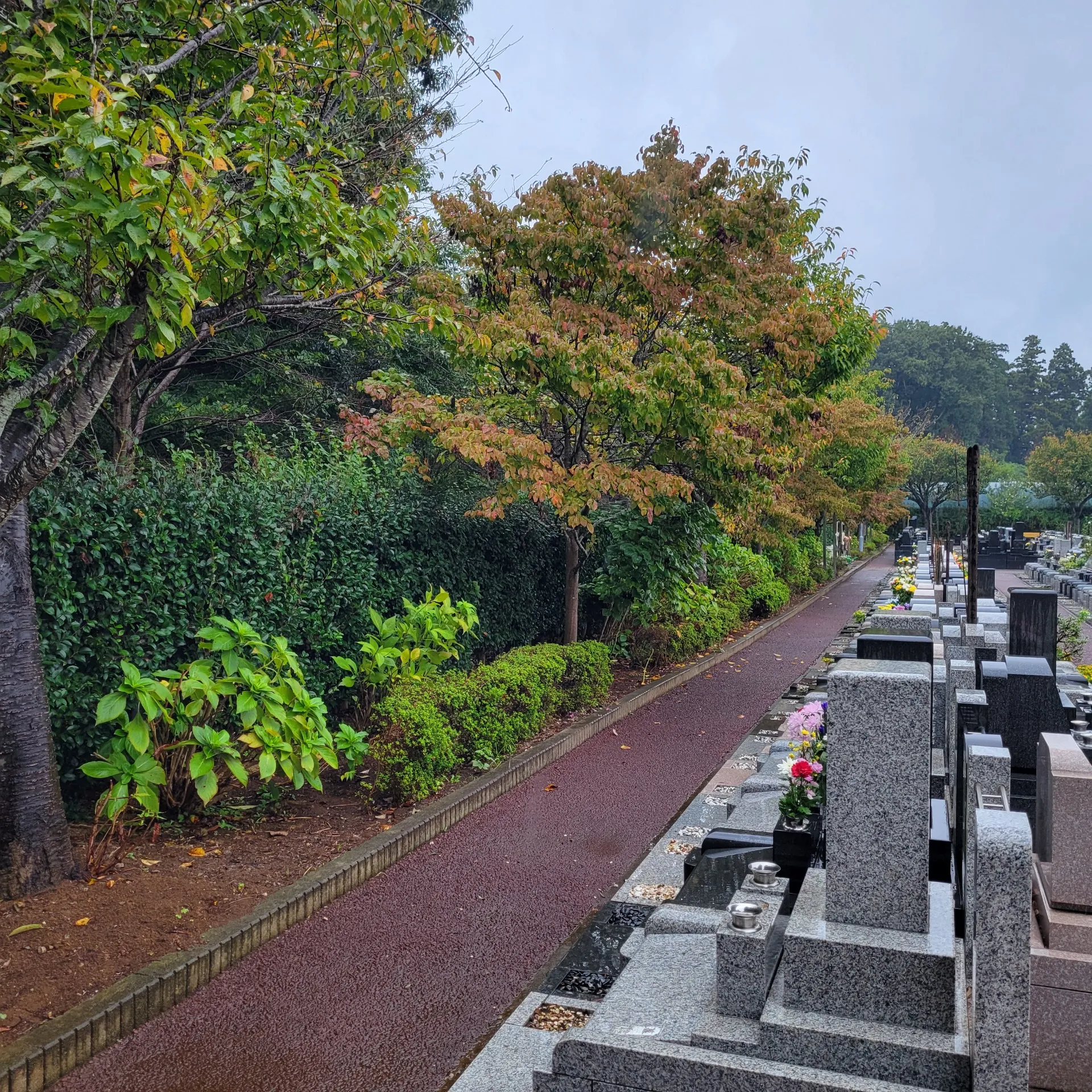 とてもマニアック⁉雨の霊園